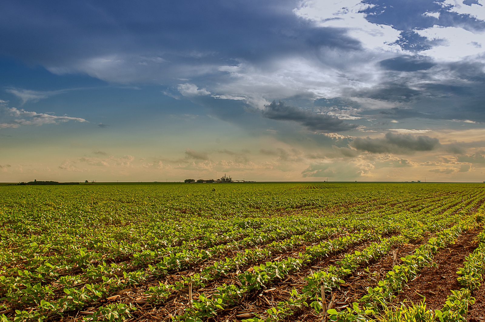 Fundeinfra terá alíquotas de 0,50% a 1,65% para produtos agropecuários