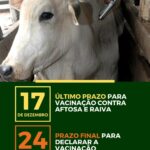 Prazo final para vacinação contra aftosa e raiva é 17 de dezembro