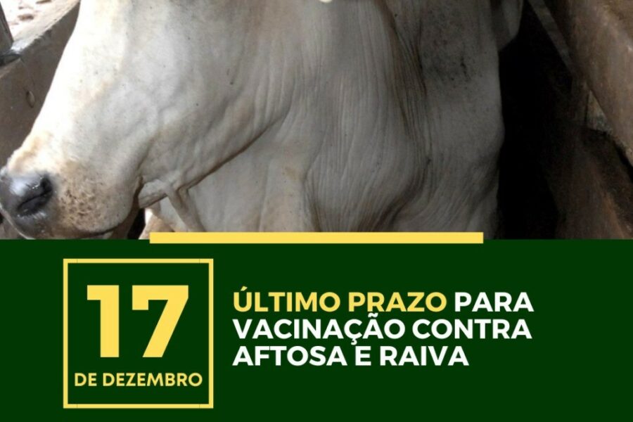Prazo final para vacinação contra aftosa e raiva é 17 de dezembro