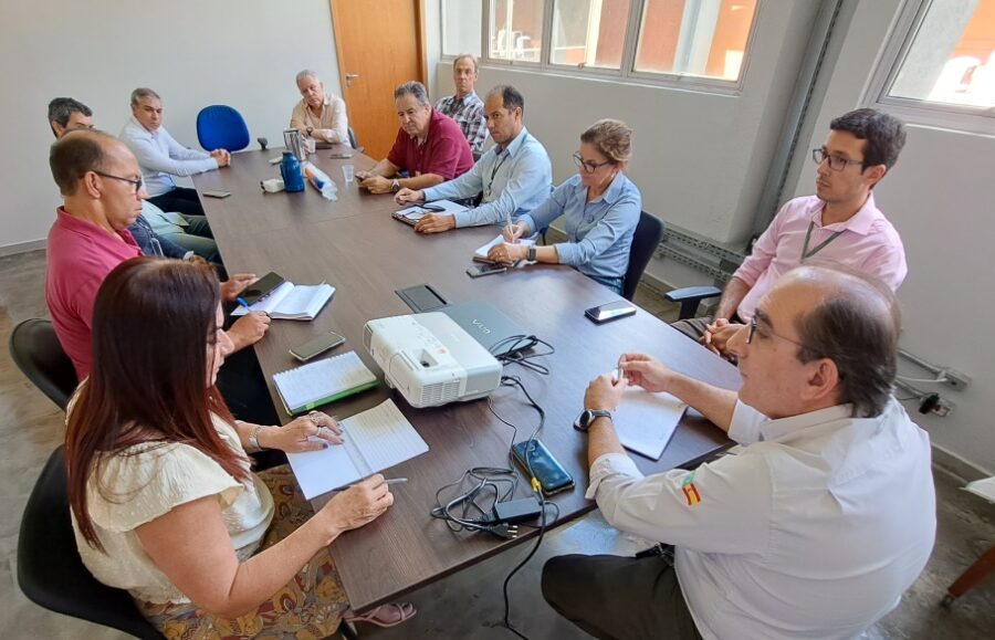 Comitê de Sanidade Avícola define medidas de prevenção à Influenza Aviária