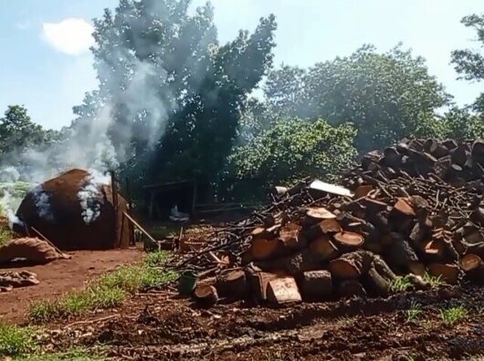 Proprietário de carvoaria clandestina é preso em Itumbiara