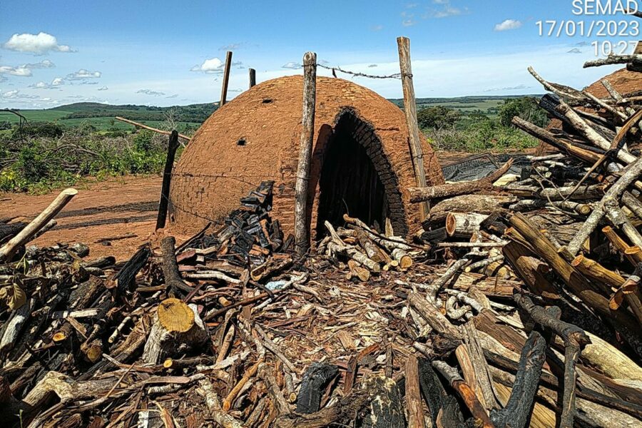 Fiscalização flagra carvoaria ilegal em Orizona