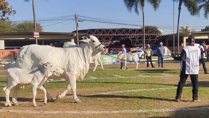 Entidades promotoras de eventos pecuários devem ter registro na Agrodefesa