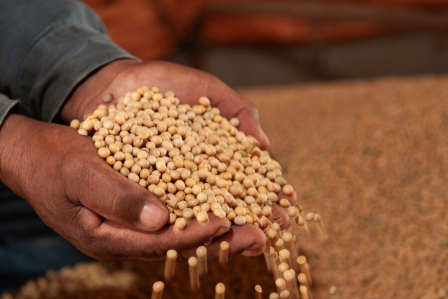 VBP da agropecuária goiana alcança recorde em 2022