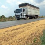 Agrodefesa reforça fiscalização do transporte da soja