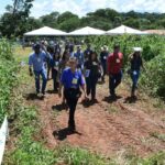 8º Dia de Campo da Fazendinha Agroecológica acontece em 17 de fevereiro