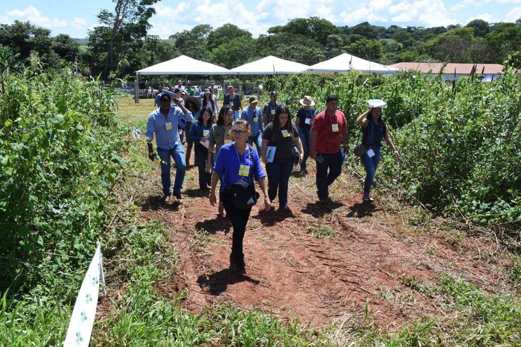 8º Dia de Campo da Fazendinha Agroecológica acontece em 17 de fevereiro