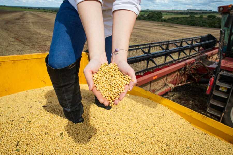 Goiás deve aumentar produção de grãos e chegar a 31,5 milhões de toneladas