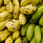 Produção goiana de banana tem previsão de crescimento em 2023