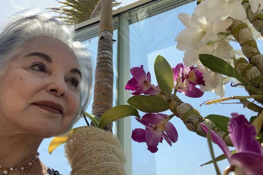 Caiado divulga nota de pesar pela morte de Dona Iris de Araújo