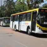 Procon Goiás notifica empresas de ônibus por má prestação à acessibilidade