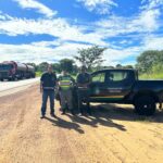 Fisco combate comércio irregular de produtos agrícolas no sudoeste goiano