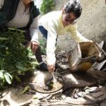 Estado apresenta plano para controle da dengue, zika e chikungunya