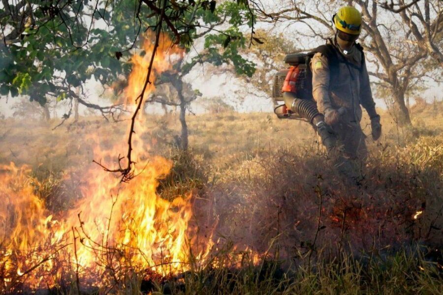 Monitoramento que antecipa queimada será tema de estudo em encontro nacional