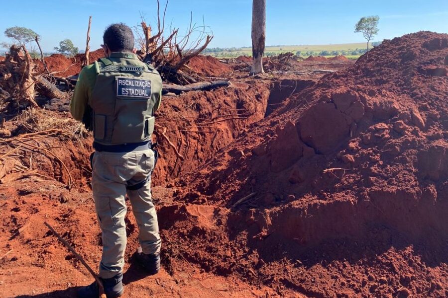 Semad ganha eficiência na notificação de autuados por crimes ambientais