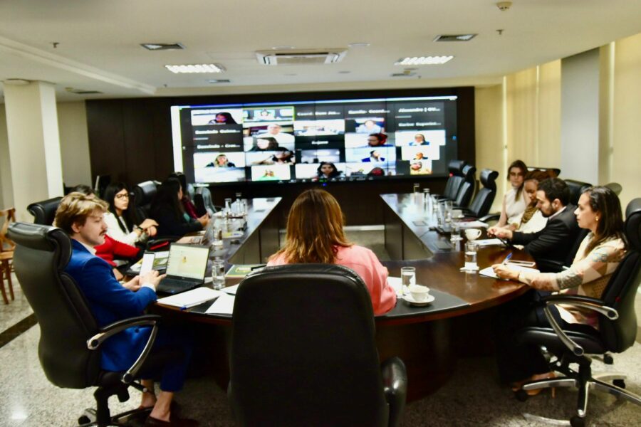 Gracinha Caiado discute realização de conferências de assistência social