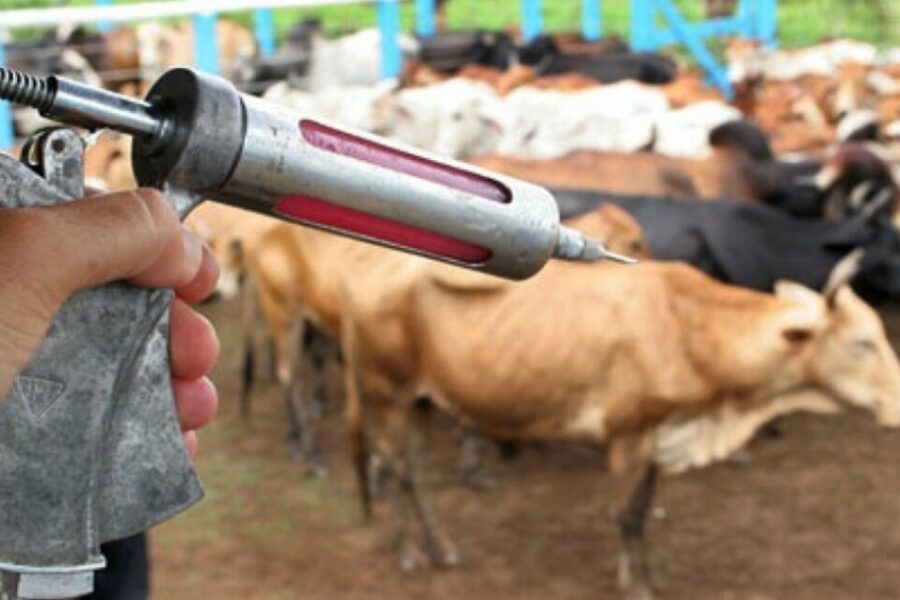 Raiva dos herbívoros: Agrodefesa divulga lista de municípios com alto risco
