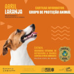 Polícia Civil lança cartilha que orienta como denunciar maus-tratos a animais