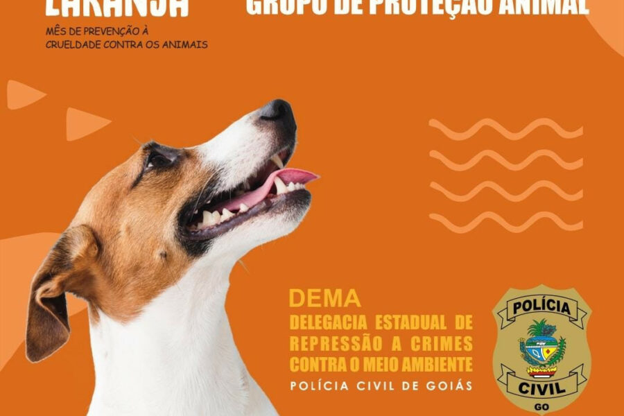 Polícia Civil lança cartilha que orienta como denunciar maus-tratos a animais
