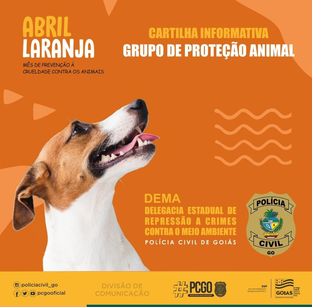 Polícia Civil lança cartilha que orienta como denunciar maus-tratos a animais