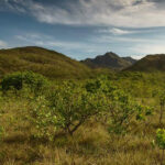 Fapeg divulga resultado do edital para conservação da Reserva Legado Verdes do Cerrado