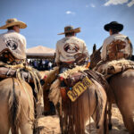 Seapa lança Calendário de Eventos do Agro em Goiás 2023