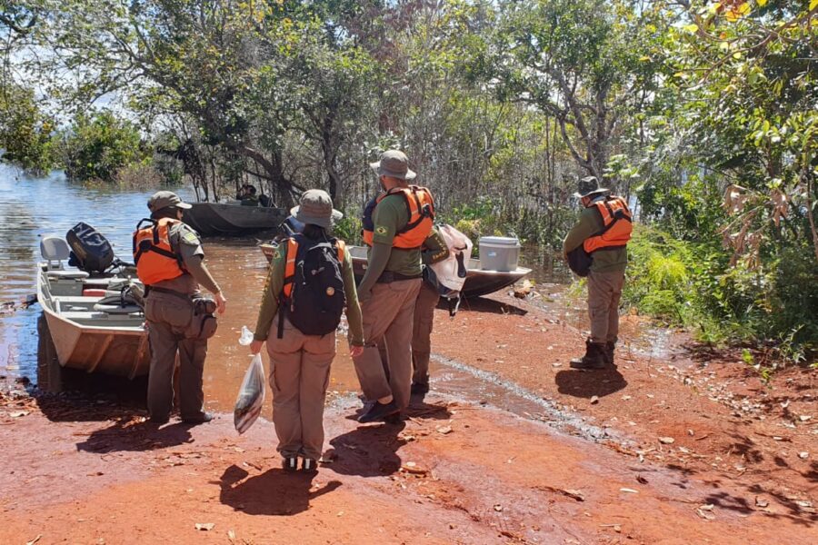 Fiscalização apreende pescado ilegal e aplica multas no lago Serra da Mesa