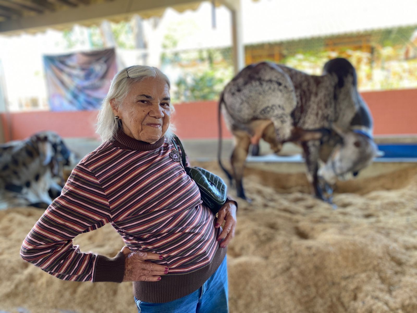 Idosos acolhidos pela OVG visitam Pecuária de Goiânia durante encerramento da exposição