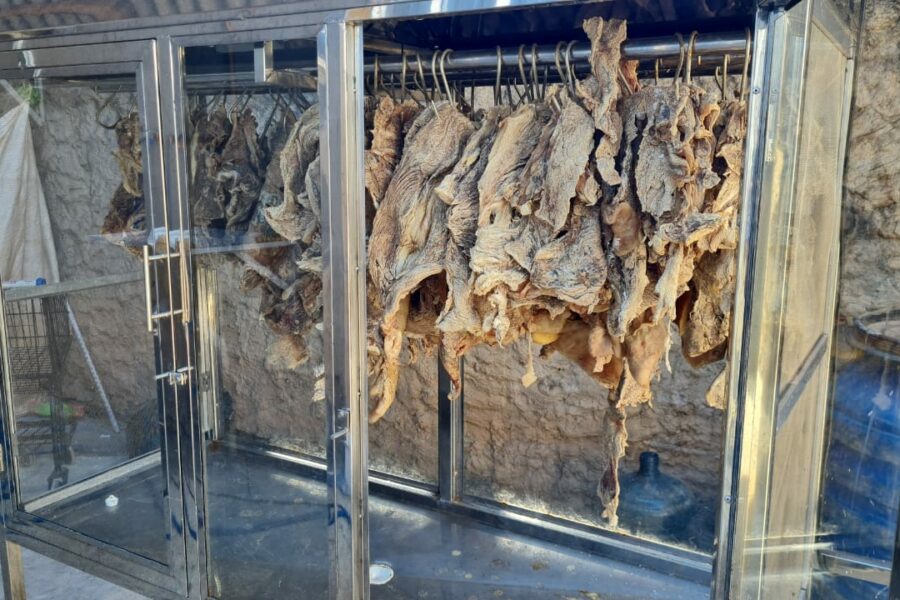 Procon apreende quase 300 quilos de carne imprópria para consumo