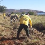 Semad alerta para fim do prazo de solicitação de queima controlada na agricultura