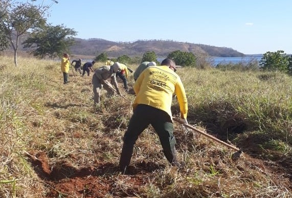 Semad alerta para fim do prazo de solicitação de queima controlada na agricultura