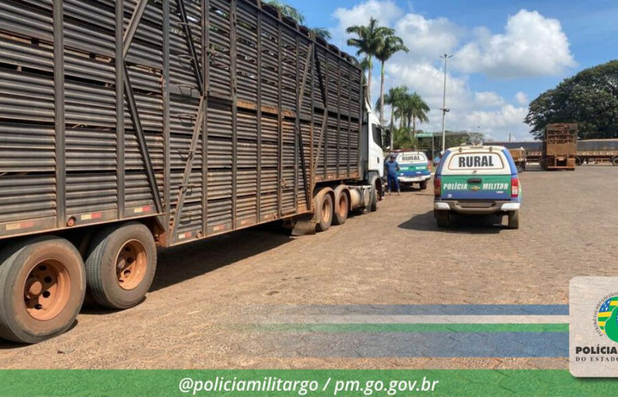 Batalhão Rural desmantela grupo que aplicava golpe da falsa compra de gado