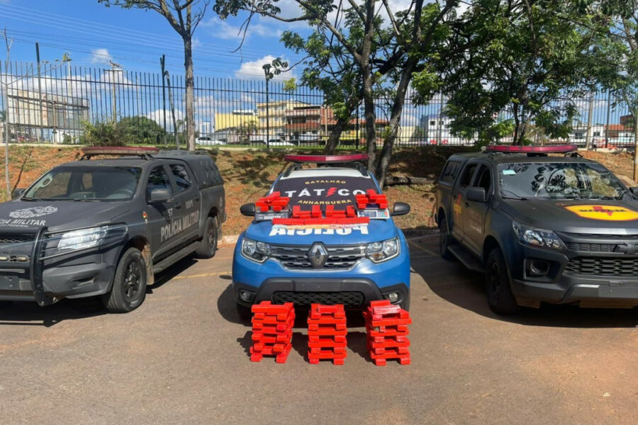 Ação conjunta da PMGO e PMDF apreende 100 kg de maconha