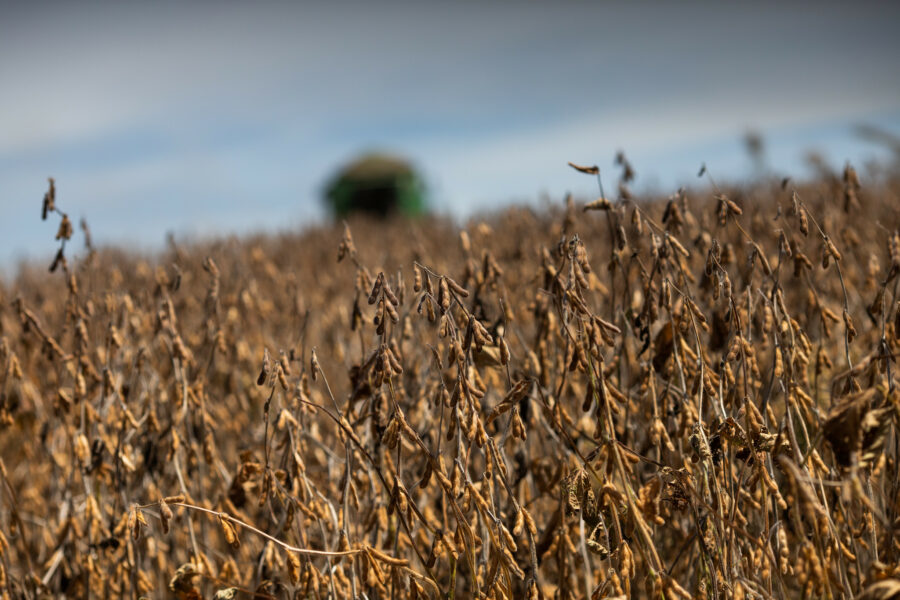 Agro goiano exporta US$ 1,1 bilhão em abril