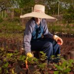 Formosa lidera criação de empregos no agro no mês de abril