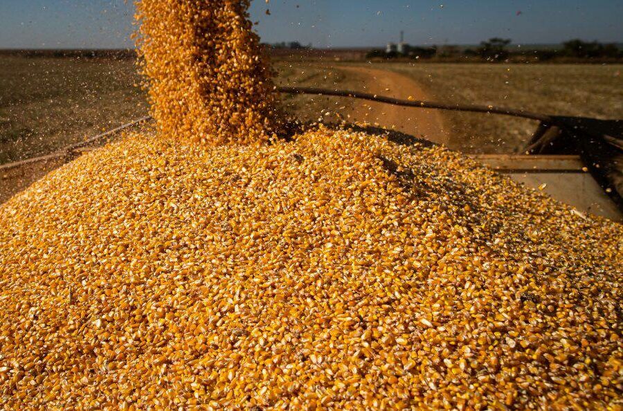 Balança Comercial goiana tem superávit de US$ 1,027 bilhão em maio