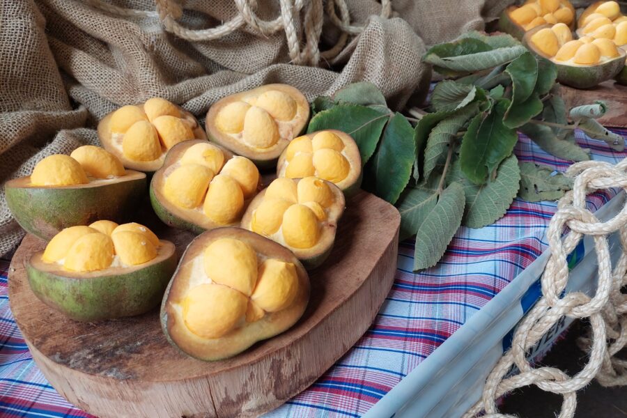 Festival Gastronômico terá pequi sem espinhos