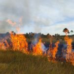 Parque de Terra Ronca passa por queima prescrita