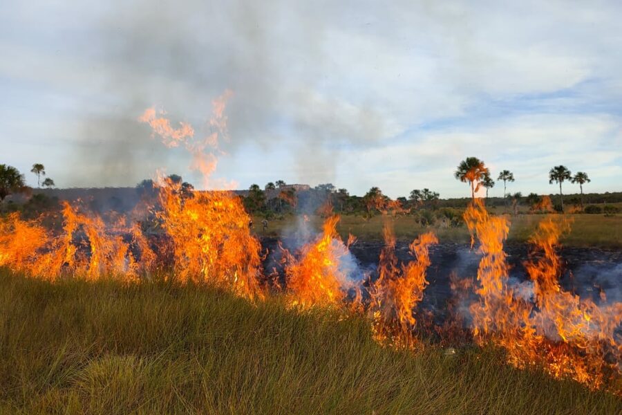 Parque de Terra Ronca passa por queima prescrita