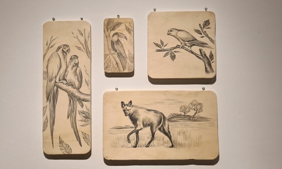 Três exposições simultâneas são prorrogadas na Vila Cultural Cora Coralina