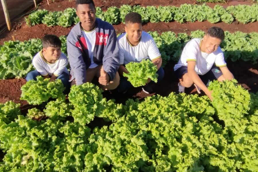 Projetos de cultivo de hortas contribuem para alimentação saudável de estudantes