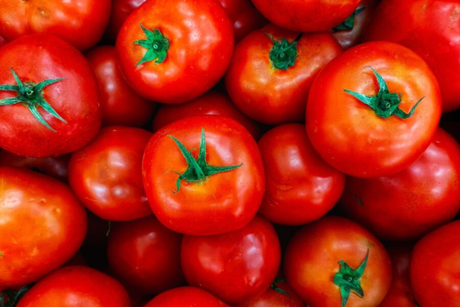 Emater lança concurso do Melhor Tomate 2023 de Goianápolis