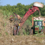 Agro tem saldo positivo de 9.855 empregos