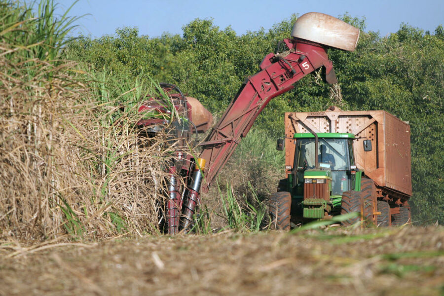 Agro tem saldo positivo de 9.855 empregos