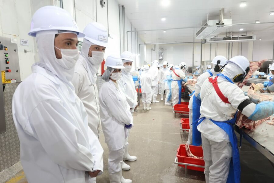 Delegação chinesa conhece planta industrial de produção de carne em Inhumas