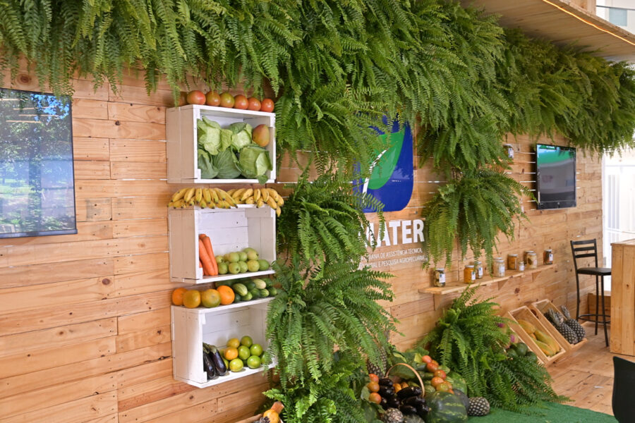 Feira da Agricultura Familiar será nesta quinta