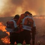 Operação Cerrado Vivo completa 45 dias em Cavalcante e Alto Paraíso de Goiás