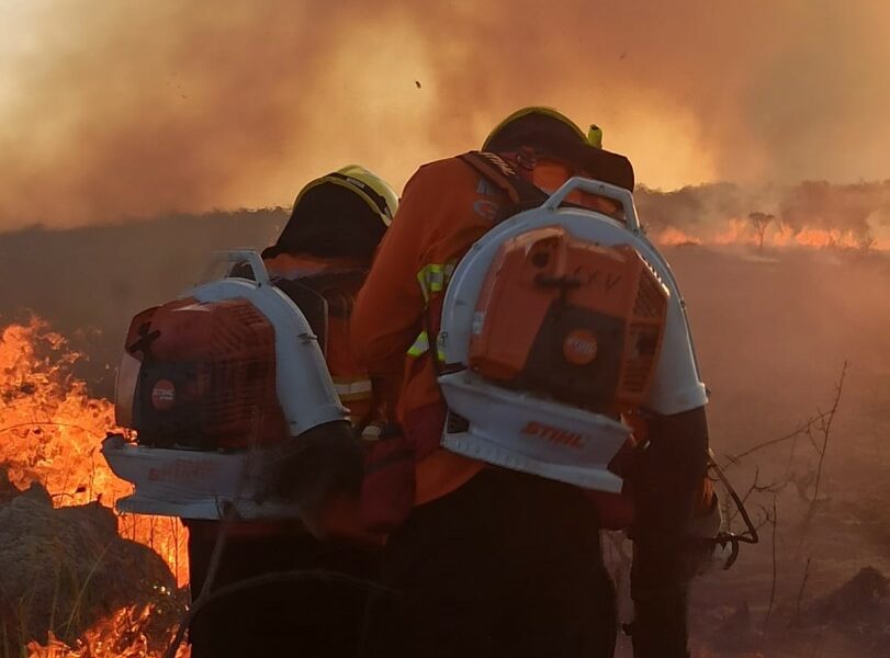 Operação Cerrado Vivo completa 45 dias em Cavalcante e Alto Paraíso de Goiás