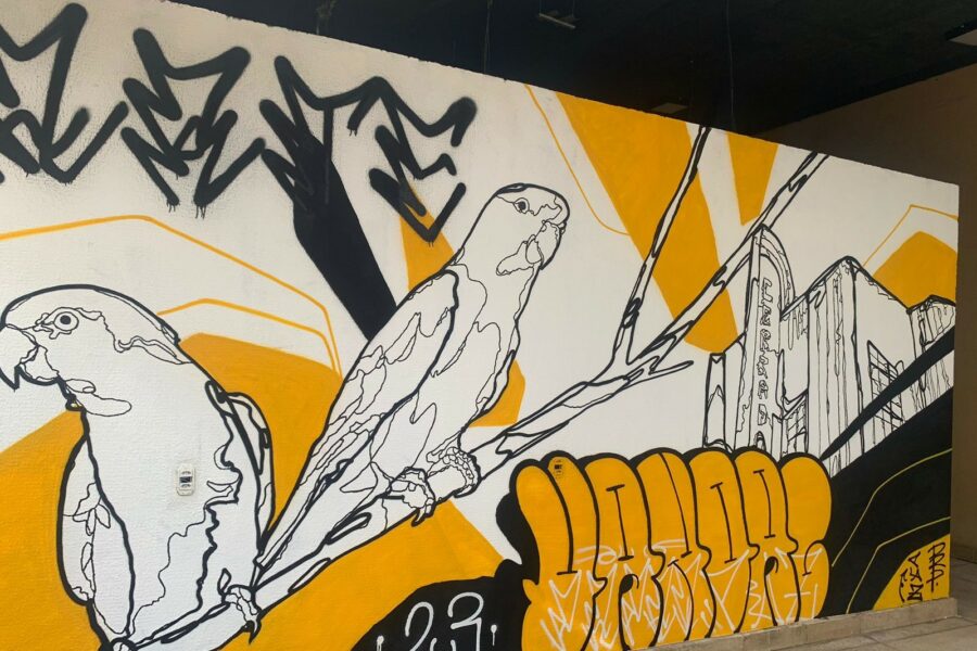 Cerrado Resiste está em exposição na Vila Cultural Cora Coralina
