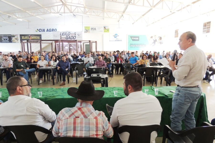 Produção de banana em Goiás alcança 10ª posição no ranking nacional